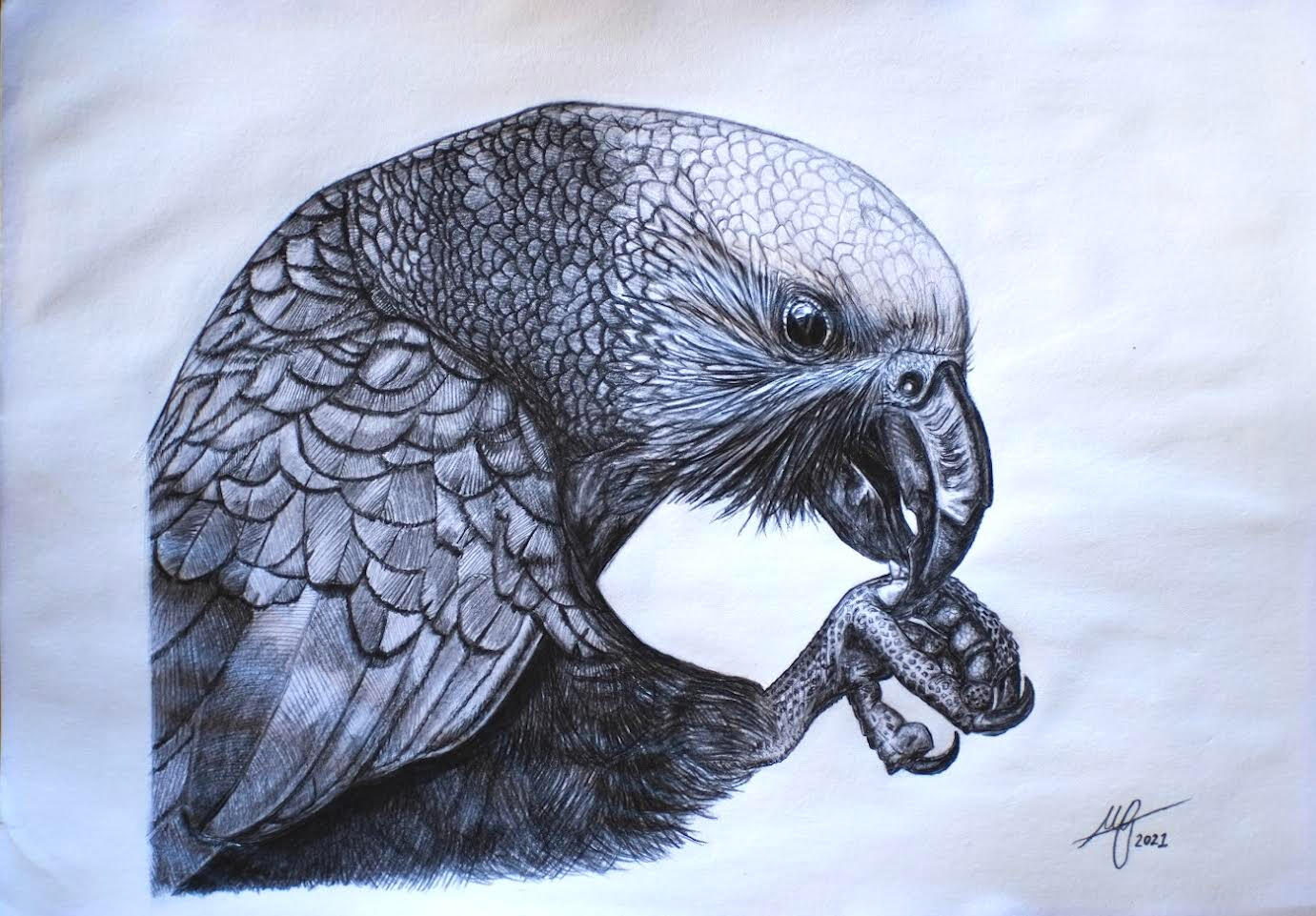 Kākā