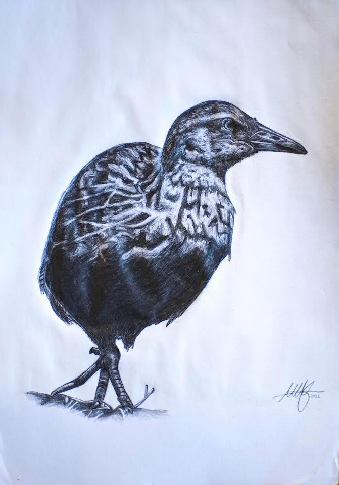 Weka